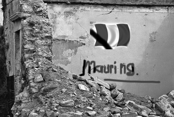 5686716 lge Italian earthquake.( video)