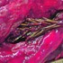 fir1 70x70 Fir tree grows inside mans lungs. 